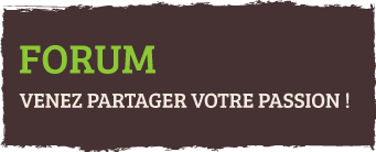 Forum